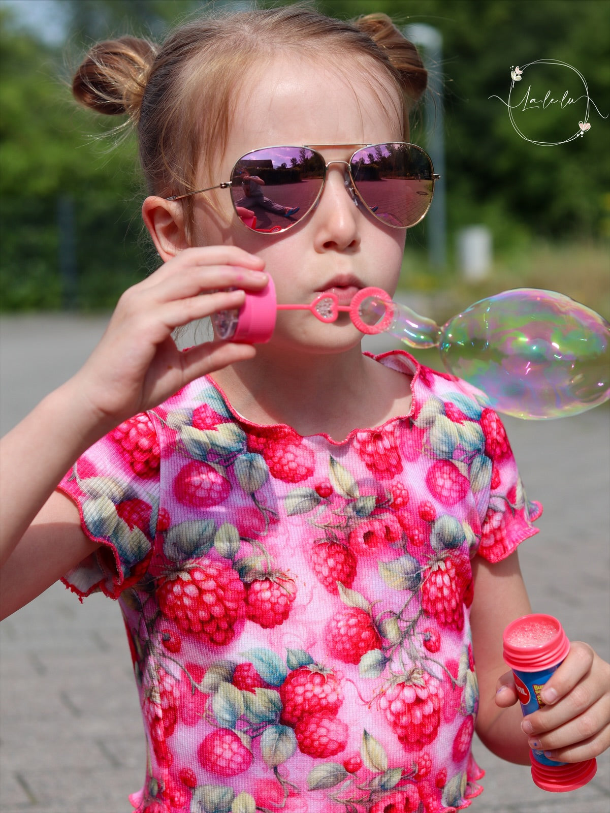 Himbeeren Neue Vorbestellung